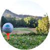 Image for Royal Hua Hin Golf Course course