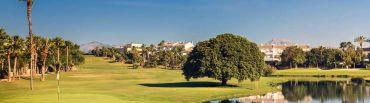 Golf course - Alicante Golf